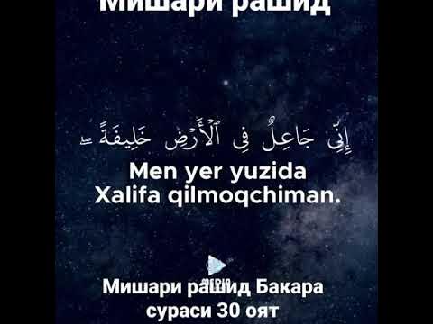 Мишари рашид Бакара сураси 30 оят - YouTube