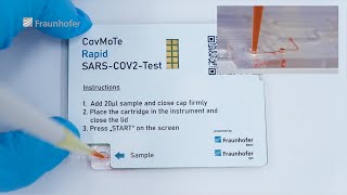 Development of Sars-Cov2 rapid test based on a microfluidic platform