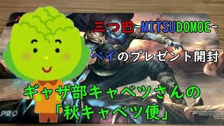 【MTG】ペイのプレゼント開封 ギャザ部キャベツさんの『秋キャベツ便』