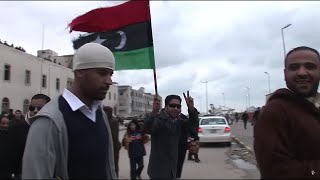 Gaddafi and the Libyan Revolution: The Last Stand