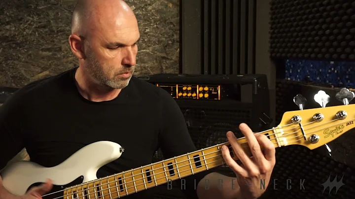 Martin Macek - Jazz Bass 5 Fat special, AlNiCo5, 5...
