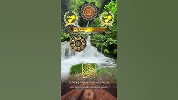 عبدالله الموسى تلاوة قرآن ستوري تلاوات #quran #ksa #uae #koran