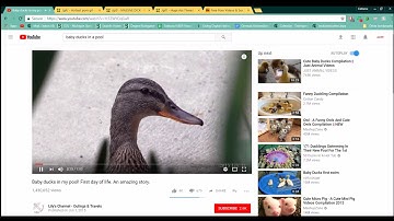 How to fast forward, rewind and pause videos using your keyboard