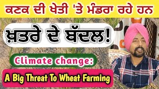 Climate Change: A Big Threat To Wheat Farming || ਕਣਕ ਦੀ ਖੇਤੀ ਤੇ ਮੰਡਰਾ ਰਹੇ ਨੇਂ ਖ਼ਤਰੇ ਦੇ ਬੱਦਲ