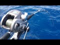 Deep drop bottom fishing with Electric reel