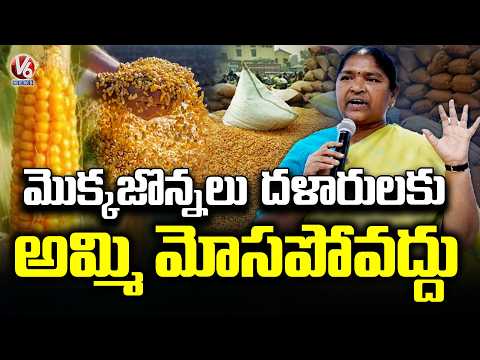 Avoid Private Middlemen While Selling Maize : Advises Minister Seethakka |V6 News - V6NEWSTELUGU