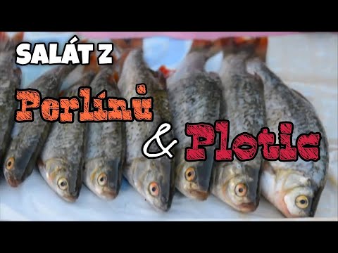 Video: Jak Vařit Rybí Salát