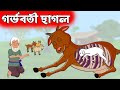 গর্ভবতী ছাগল - রূপকথার গল্প - Bangla Cartoon - চাঁদের বুড়ি - Chander Buri