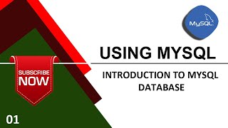 MySQL-01:INTRODUCTION TO MYSQL DATABASE Net Worth