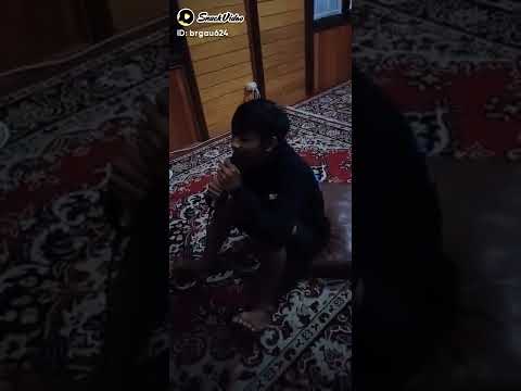 Karokean lucu suara kodok Bang Afles part 2