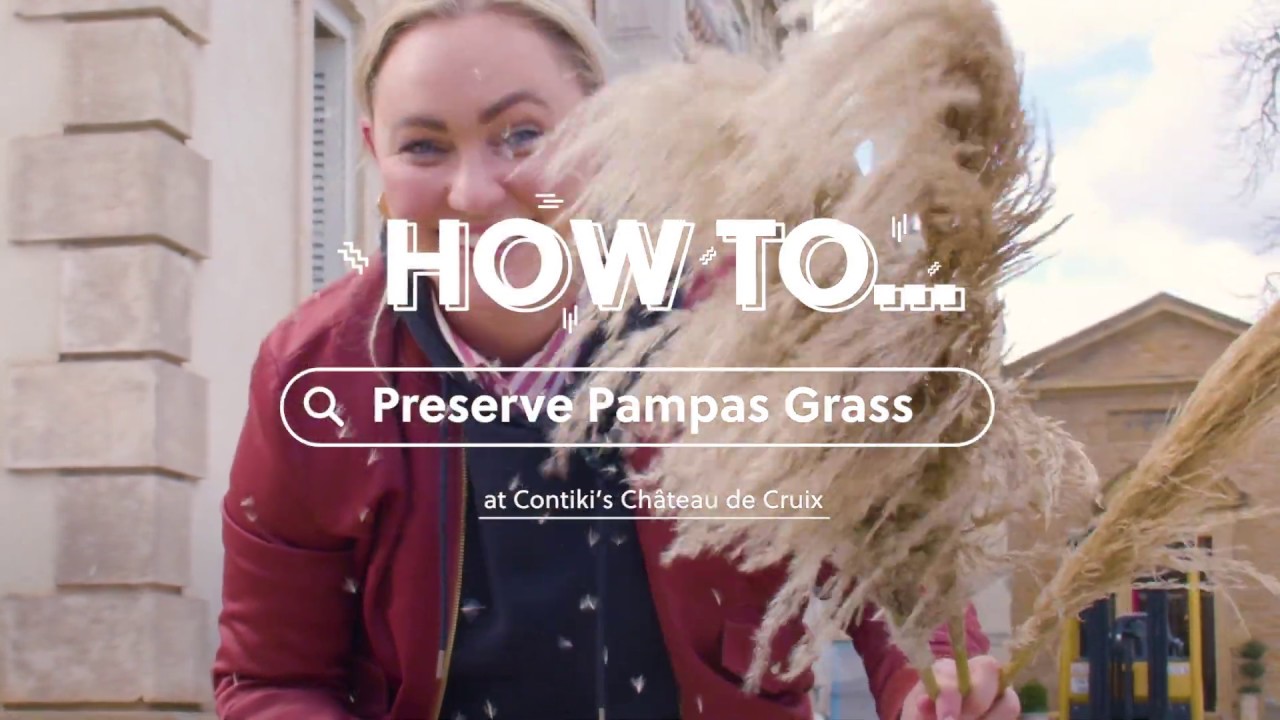 Diy Decor Ideas: How To Preserve Pampas Grass | Contiki