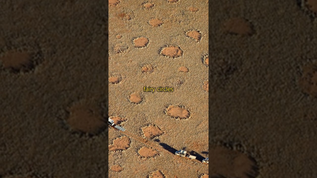 The mystery of the Namibia Fairy Circles