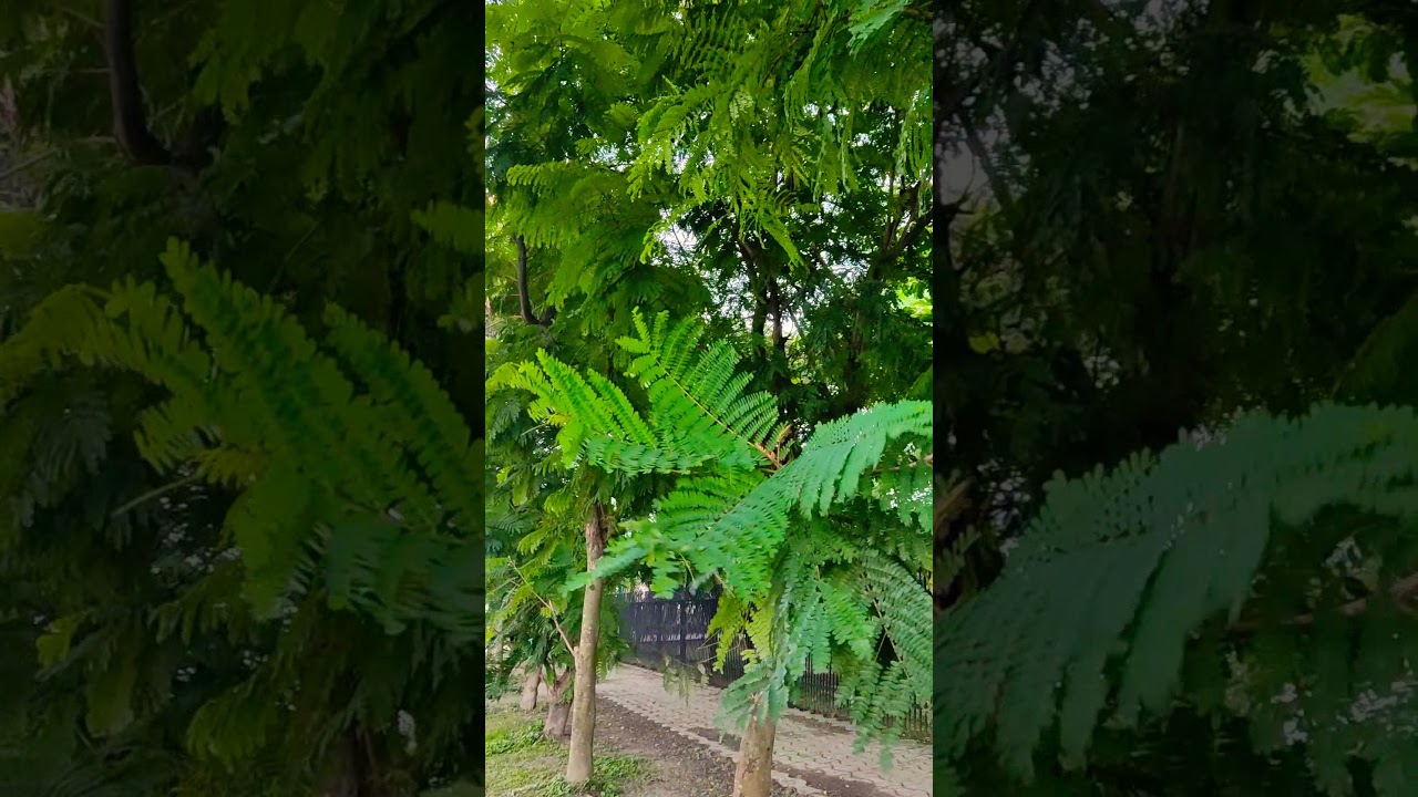 Monsoon is still there!☁️🍂 