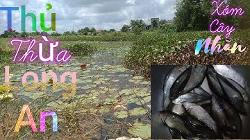 Chia Sẻ 3 Điểm Câu Cá Ở Thủ Thừa Long An#inshot