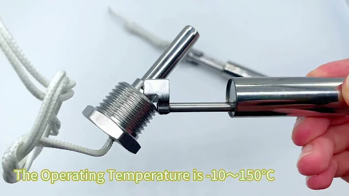 Horizontal Flow Sensor Side Mounted Level Reed Float#saier #liquidlevelsensor#floatlevelswitch