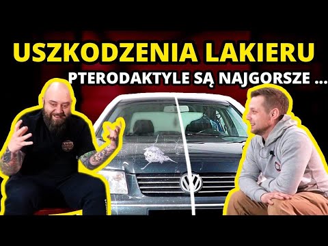 Wideo: Czy Bolonia niszczy lakier samochodowy?