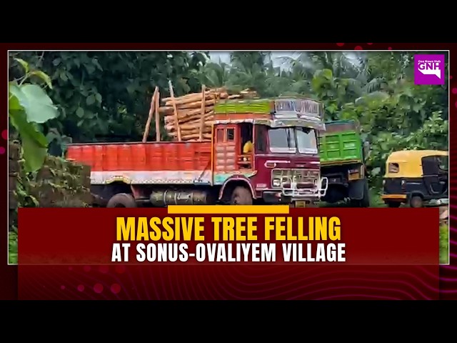 Massive Tree Felling at Sonus Ovaliyem Village