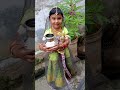 அன்பான மகள் வந்தா ⛄🍓🍇🍉🍎🍊