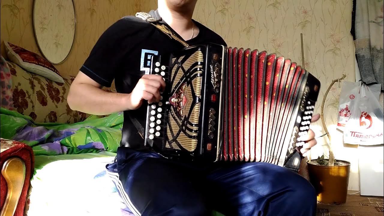 Гармонь с нуля. Гармонист николай бусуркин. Ютубе гармонь. Гармонь оленичева. Гармонь мастера стусенко.