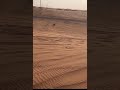 شاص قاعد مقطعش بالبر ماخذ جوه شاص قاعد مقطعش بالبر ماخذ جوه