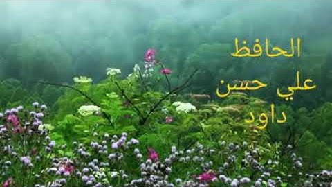 الحافظ علي حسن داود  سورة الروم (مرتل)