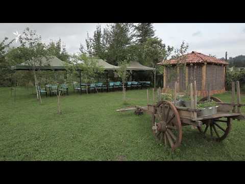 „ოდა“, მარტვილი და ოკაცე − ერთი მიზანი ორისთვის