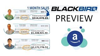 BlackBird Suite Software Preview and Review Details screenshot 2