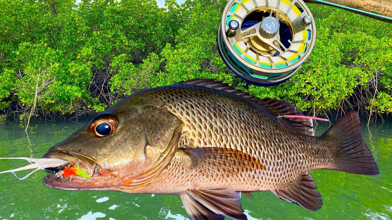 Saltwater Fly Fishing Leader Setup & Tropical Species on Fly 