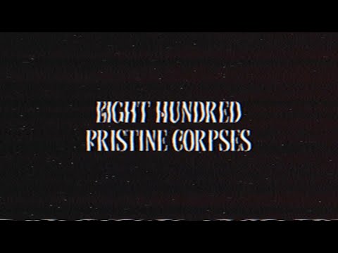 Timber Timbre - 800 Pristine Corpses (Official Video)