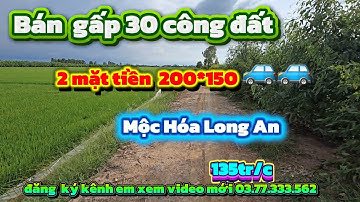 3 mẫu đất lúa  400 mặt tiền Mộc Hóa Long An, lúa  3 vụ  xe tải chạy vèo vèo giá  135 tr/c