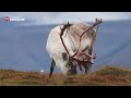 From sea to summit - A beautiful hike on Svalbard