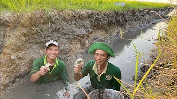 Cá Nhiều Quá • Cách Bắt Cá Hiệu Quả Nhất Của Người Miền Tây | Bông Lúa Đồng Tháp