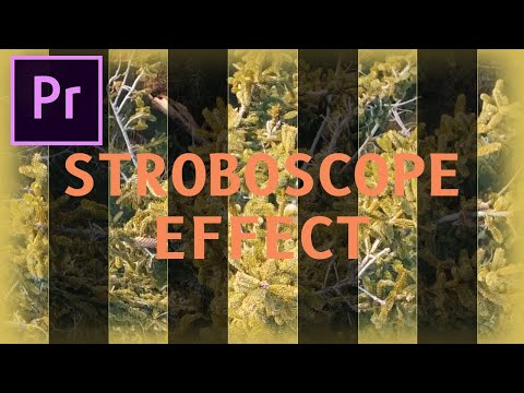 فيديو: كيفية صنع ستروبوسكوب