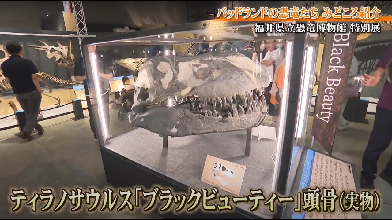 □「バッドランドの恐竜たち」みどころ➂ - YouTube