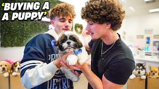 Information We BOUGHT A Puppy! Guide