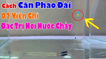 Hướng Dẫn Cách Cân Phao 02 Viên Chì (01 Lửng, 01 Đáy) Câu Sông Nước Chảy Mạnh Cực Kỳ Hiệu Quả
