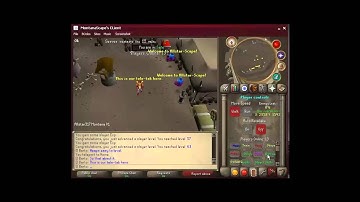 New 317 Allstar RSPS: MontanaScape!