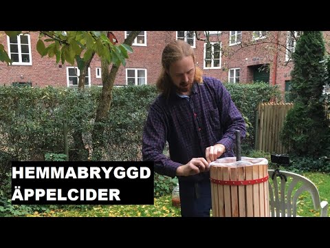 Video: Hur Man Gör Het äppelcider
