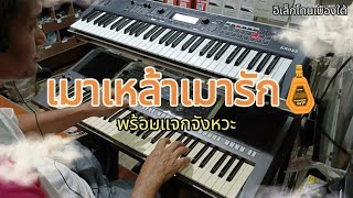 เมารักเมาเหล้า Cover By อิเล็กโทนเมืองใต้ | พร้อมแจกจังหวะ