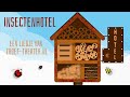 Insectenhotel  een liedje over kriebelbeestjes