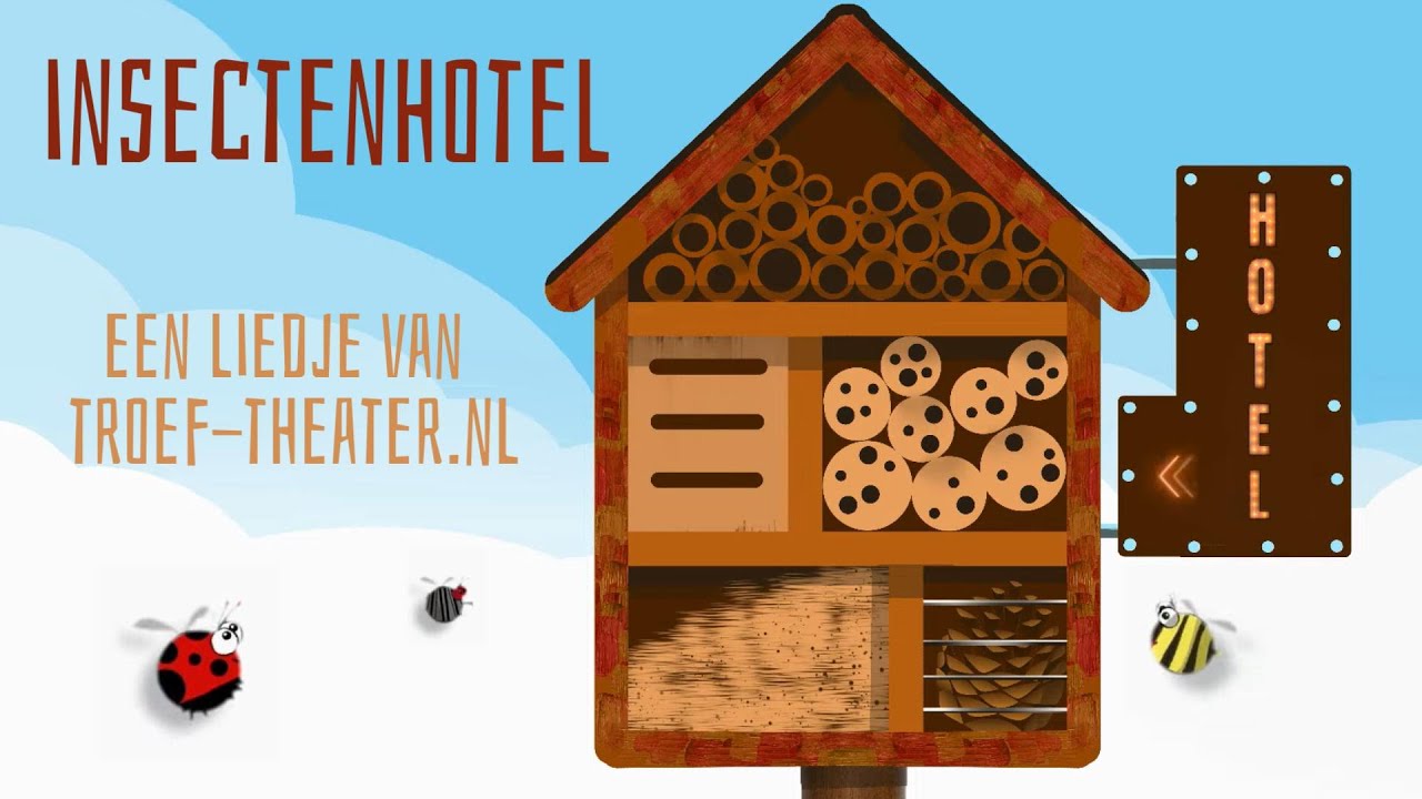 Insectenhotel - een liedje over kriebelbeestjes