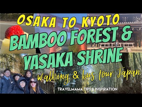 Kyoto Japan Bamboo Forest |Yasaka Shrine | Walking and bus tour #osaka #bambooforest #arashiyama