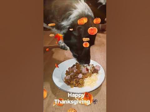 Westward look thanksgiving buffet