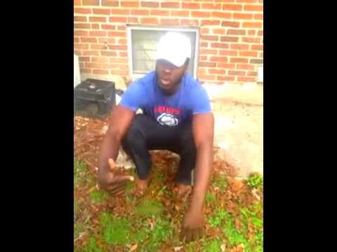 Sitting on chairs are unnatural. The Significance of Squatting.