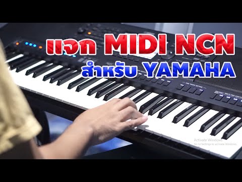 แจกMIDI NCN เพลง ปากโกรธใจคิดถึง ฟ้าไกลดิน ชายอิสระ แพ้รบสนามรัก [Keyboard Yamaha] โหลดลิงค์ใต้คลิป