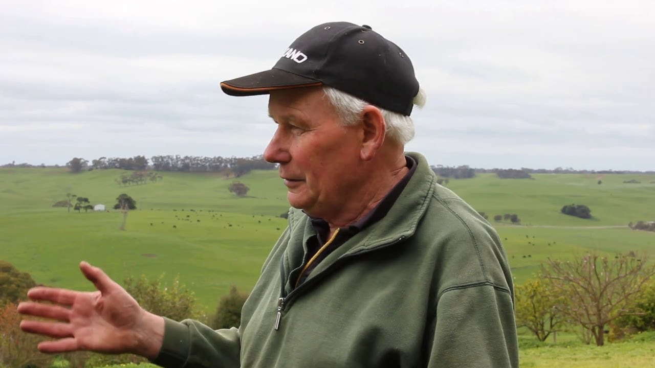 Pasture management advice. Organic cattle grazing - part 13