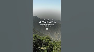 سورة الغاشية جزء 2 صوت القارئ : عبد الرحمن مسعد 😴🎧💖❤️🐪🕋 #قرآن #راحة_نفسية #سورة_الغاشية