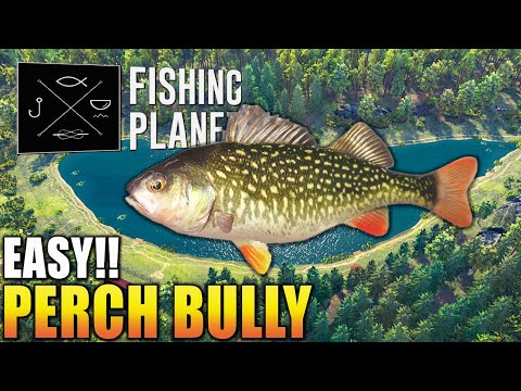 PERCH Bully Monster
