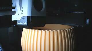 Vase Im Zeitraffer Die Blüte In Sekundenschnelle Peach Fuzz 3D Print