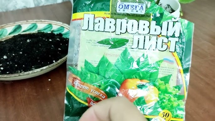 Оның үлкен сиськилерін қысып жатқан бейнелері Желідегі таңдаулы порно бейнелер